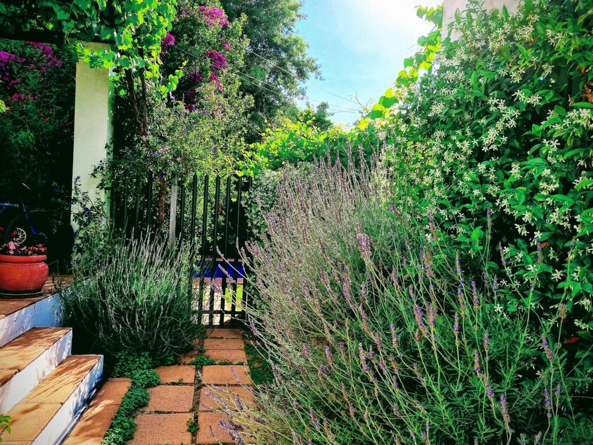 Sunny Lane Appartement Franschhoek Buitenkant foto