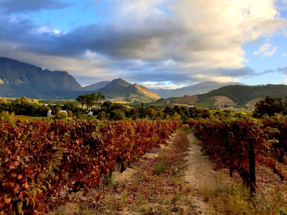Sunny Lane Appartement Franschhoek Buitenkant foto