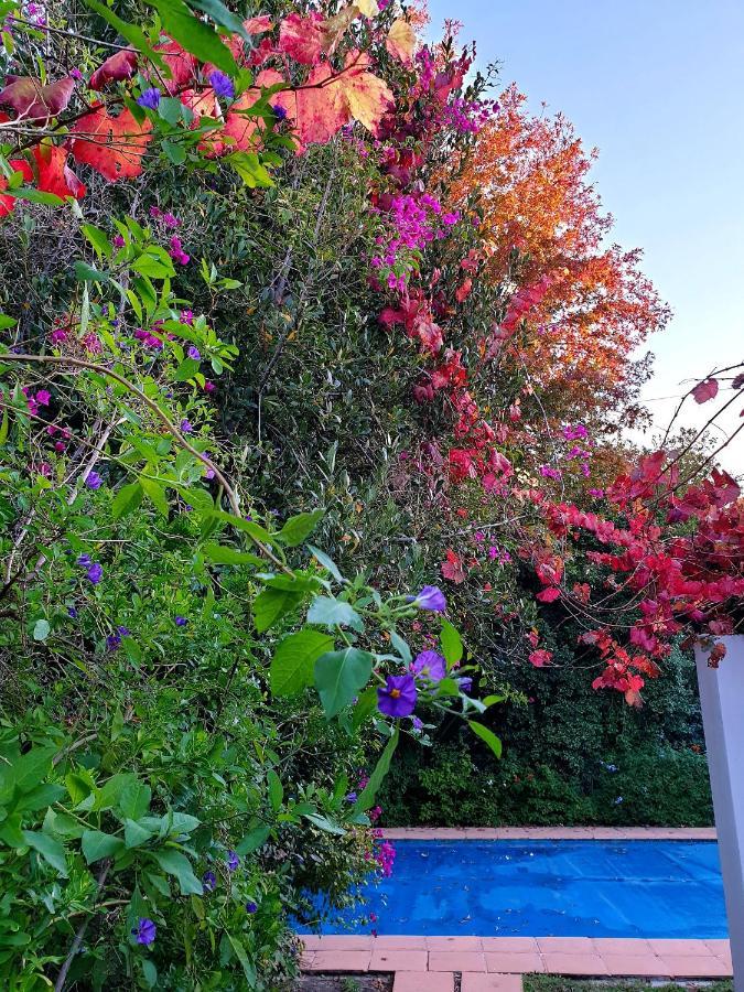 Sunny Lane Appartement Franschhoek Buitenkant foto