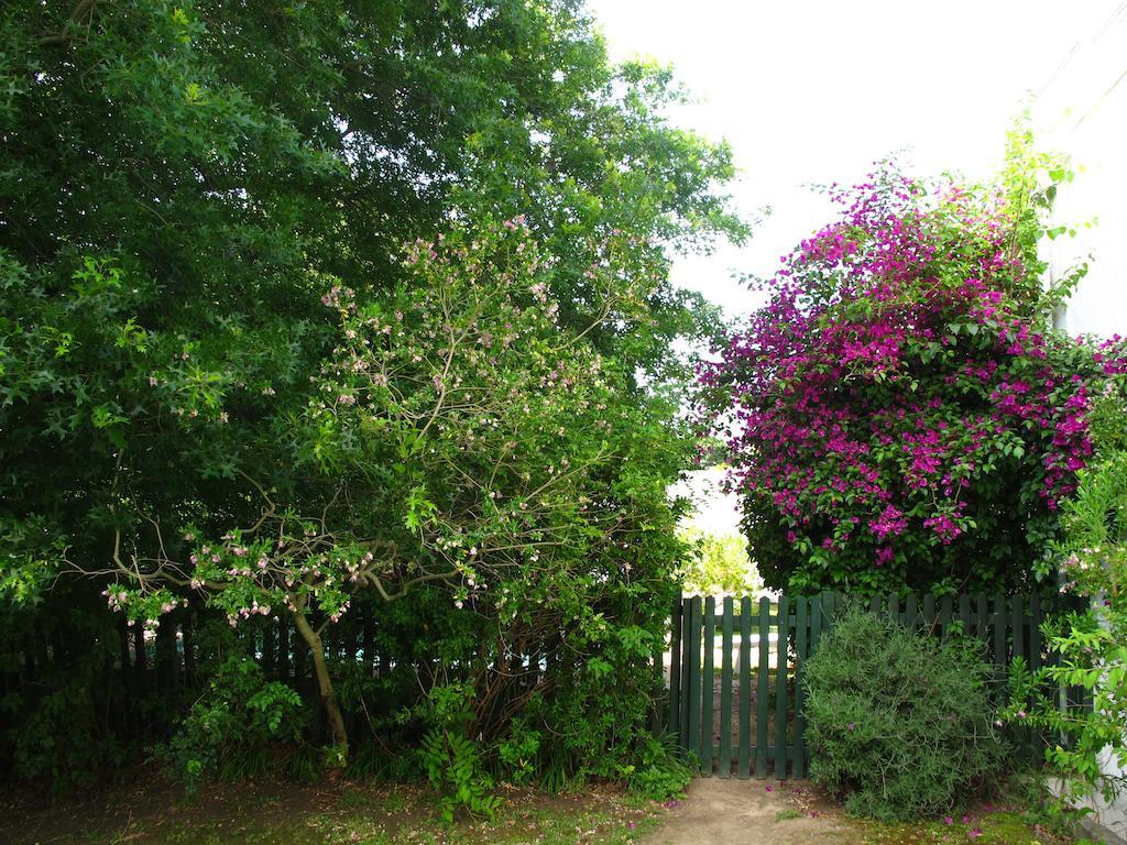 Sunny Lane Appartement Franschhoek Buitenkant foto